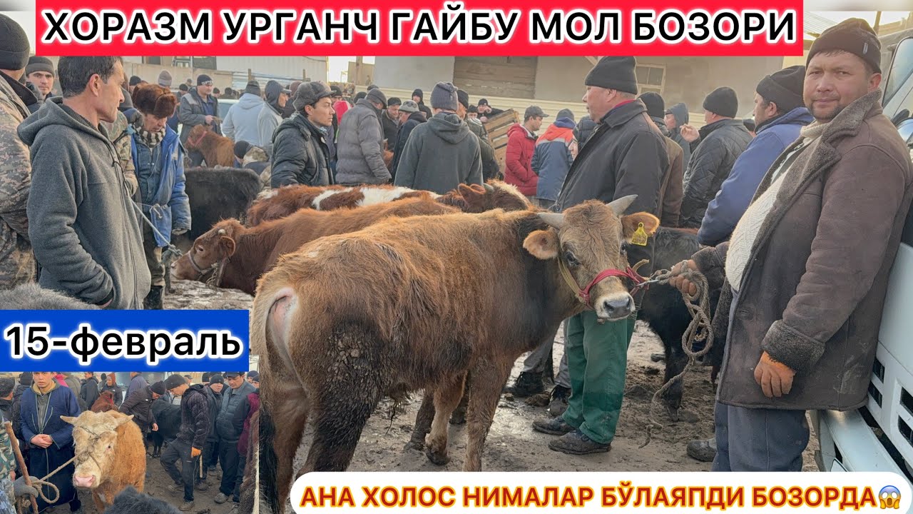 АНА ХОЛОС НИМАЛАР БЎЛАЯПДИ БОЗОРДА😱 ХОРАЗМ УРГАНЧ ГАЙБУ МОЛ БОЗОРИ 15-февраль 2026 г.