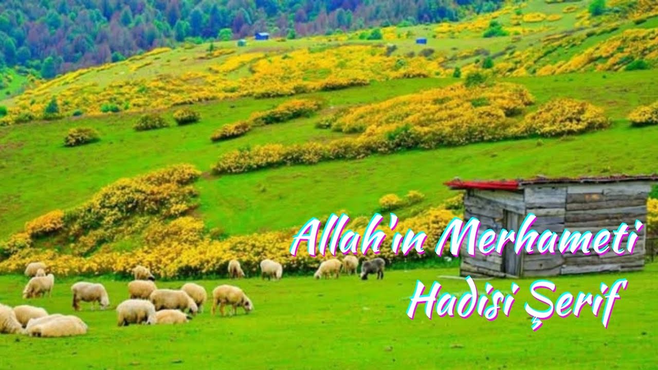 Allah'ın Merhameti, Hadisi Şerif