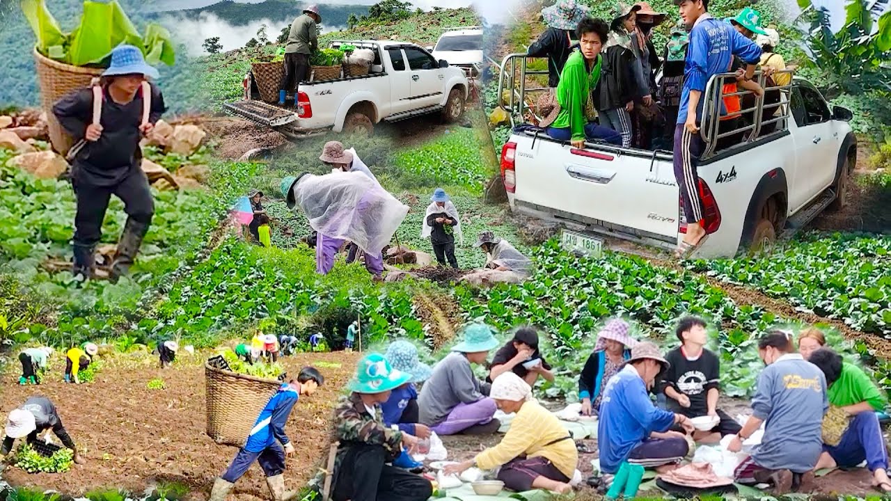 KEV KHWV NYIAJ HAUV DAIM TEB NYOB  THAIB TEB 9/2022