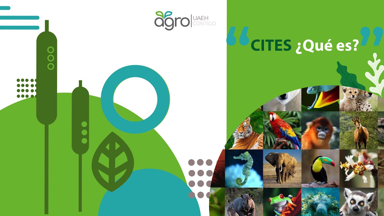 CITES ¿Qué es?
