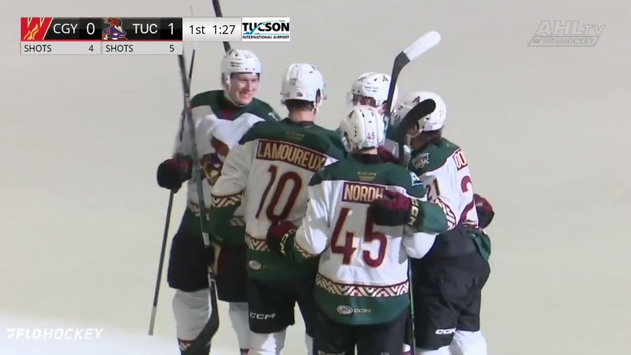 Tucson vs. Calgary 12/27 Highlights