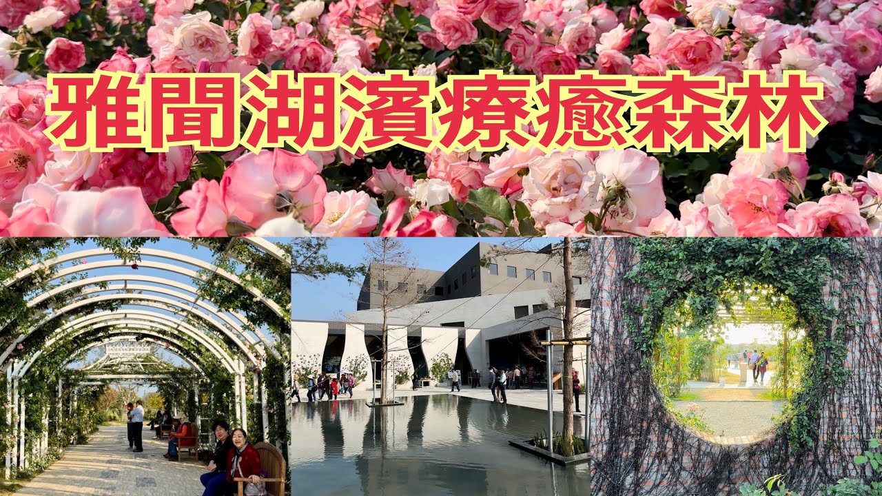 台南後壁雅聞湖濱療癒森林，ㄧ座擁有無數浪漫玫瑰花園的觀光工廠！2024.03.04