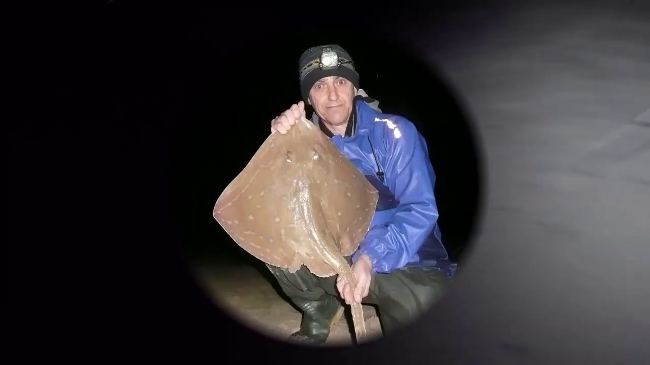 Dorset Small-eyed Ray Hunt