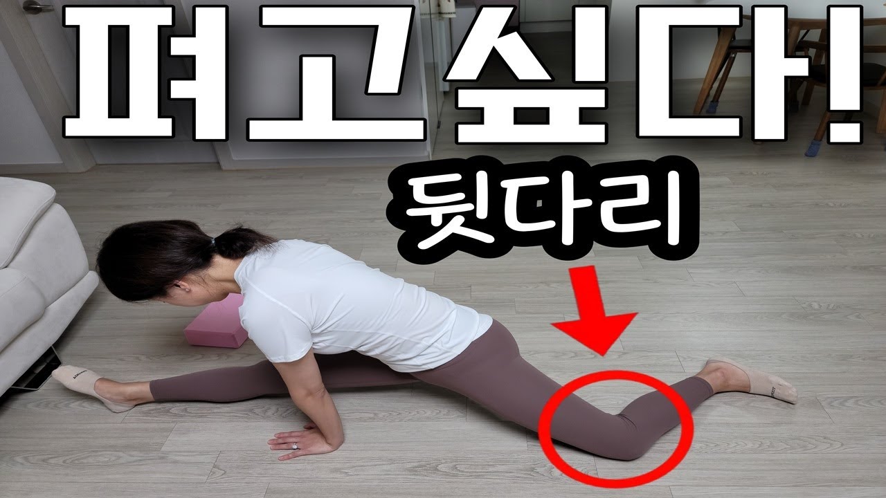 다리찢기(frontsplits) 뒷다리 펴는법