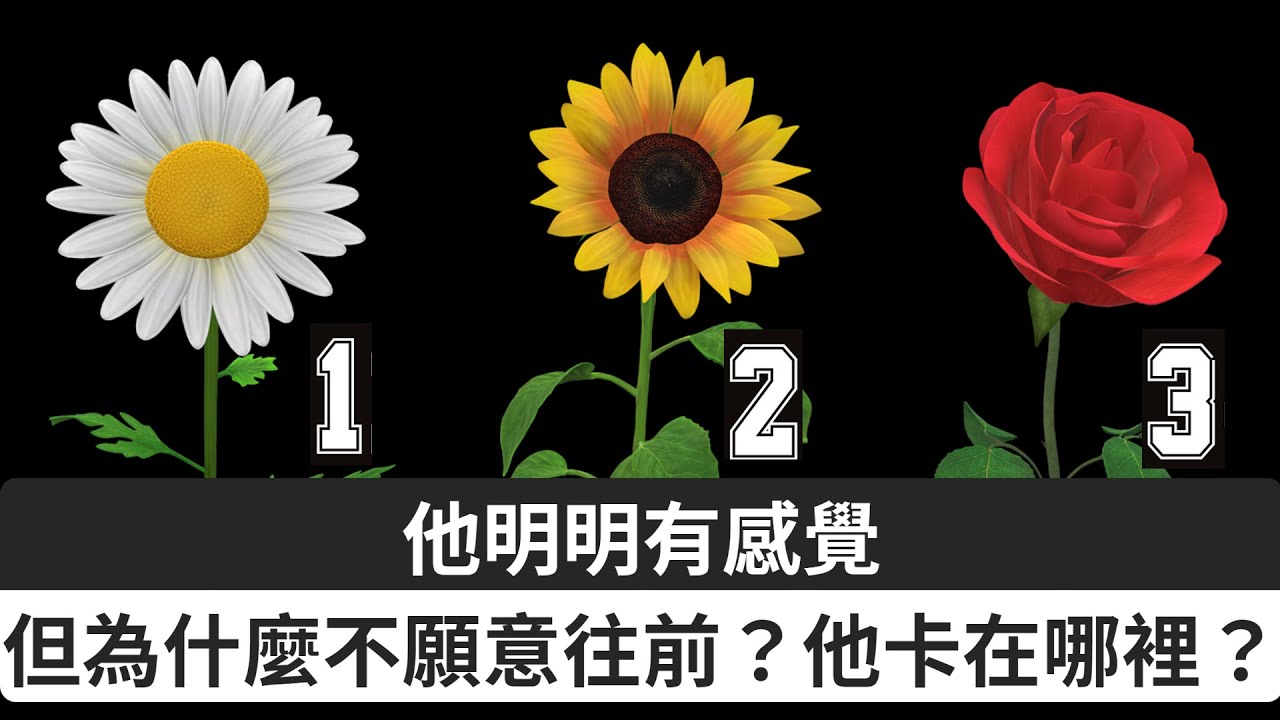 【塔羅占卜】他明明有感覺，但為什麼不願意往前？他卡在哪裡？｜愛情占卜｜櫻之塔羅 Yin’s Tarot