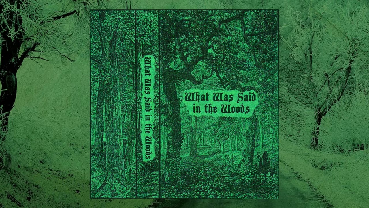 What Was Said In the Woods - S/T (2024)