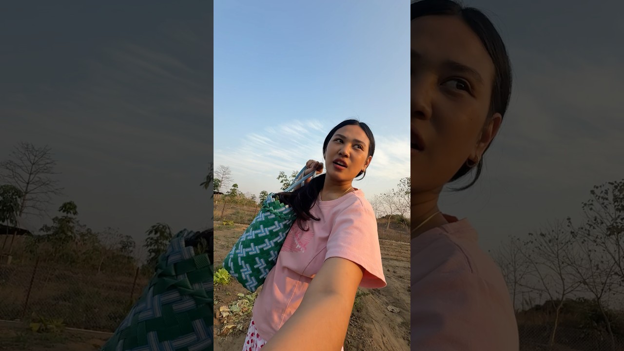 Mini vlog