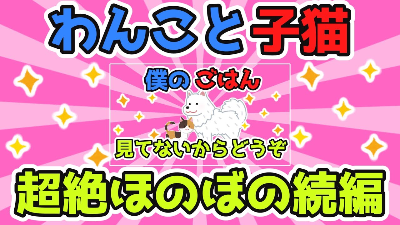 わんこと子猫のその後…⇒あれ？？なんか増えてる？？【2ch面白スレ/ほのぼのスレ】【ゆっくり解説】