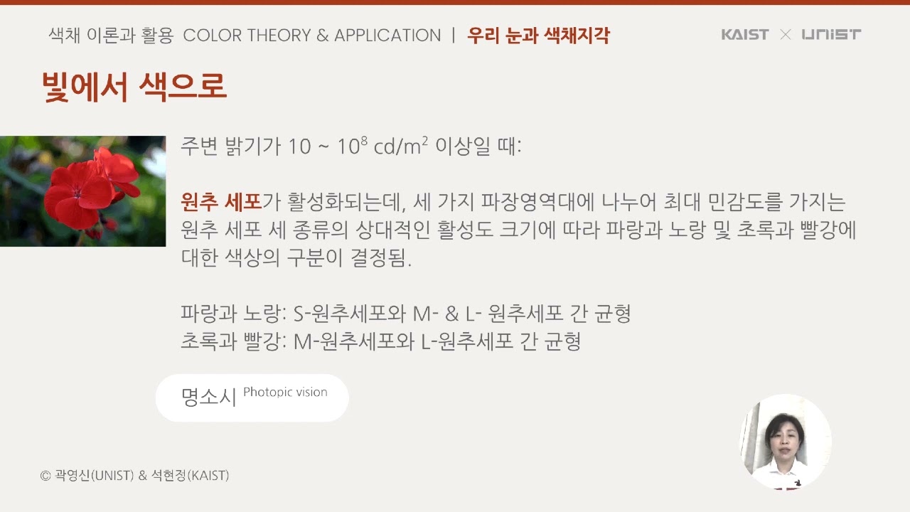 색채 이론과 활용 | 우리 눈과 색채 인지 ::: Color theory & application | Human vision and color perception