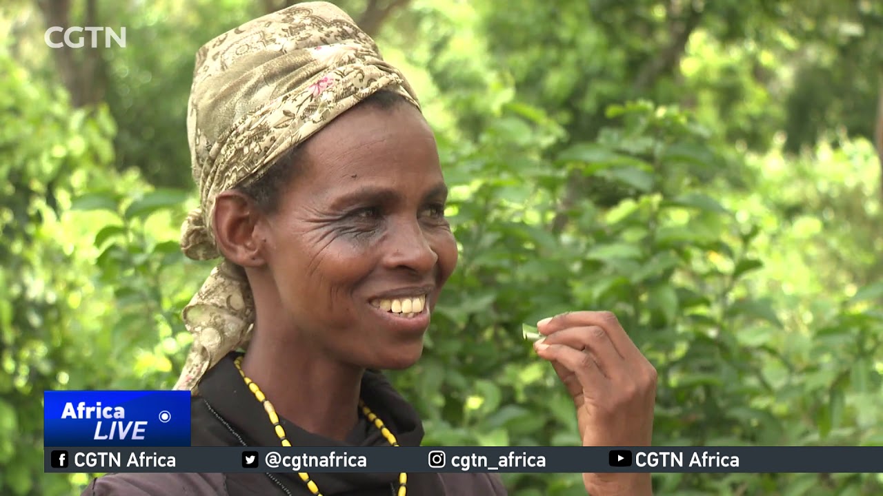 Kenya's Yaaku people battle to save their native language