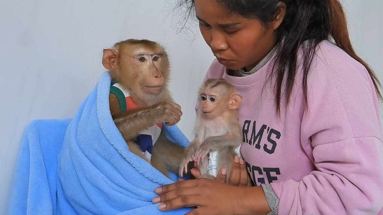 Tiny Valen Disturb Mom Checking Olly's Legs