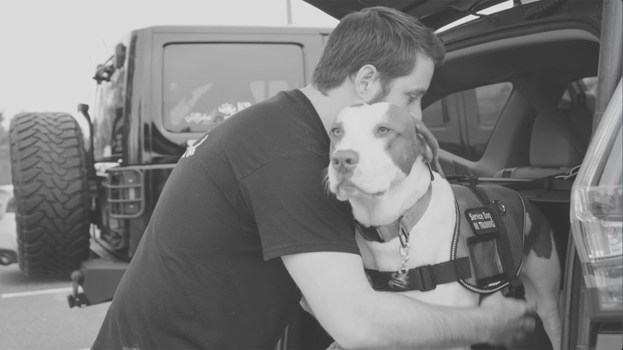 Unleashing Hope and Healing: Service Dogs for Veterans Battling PTSD