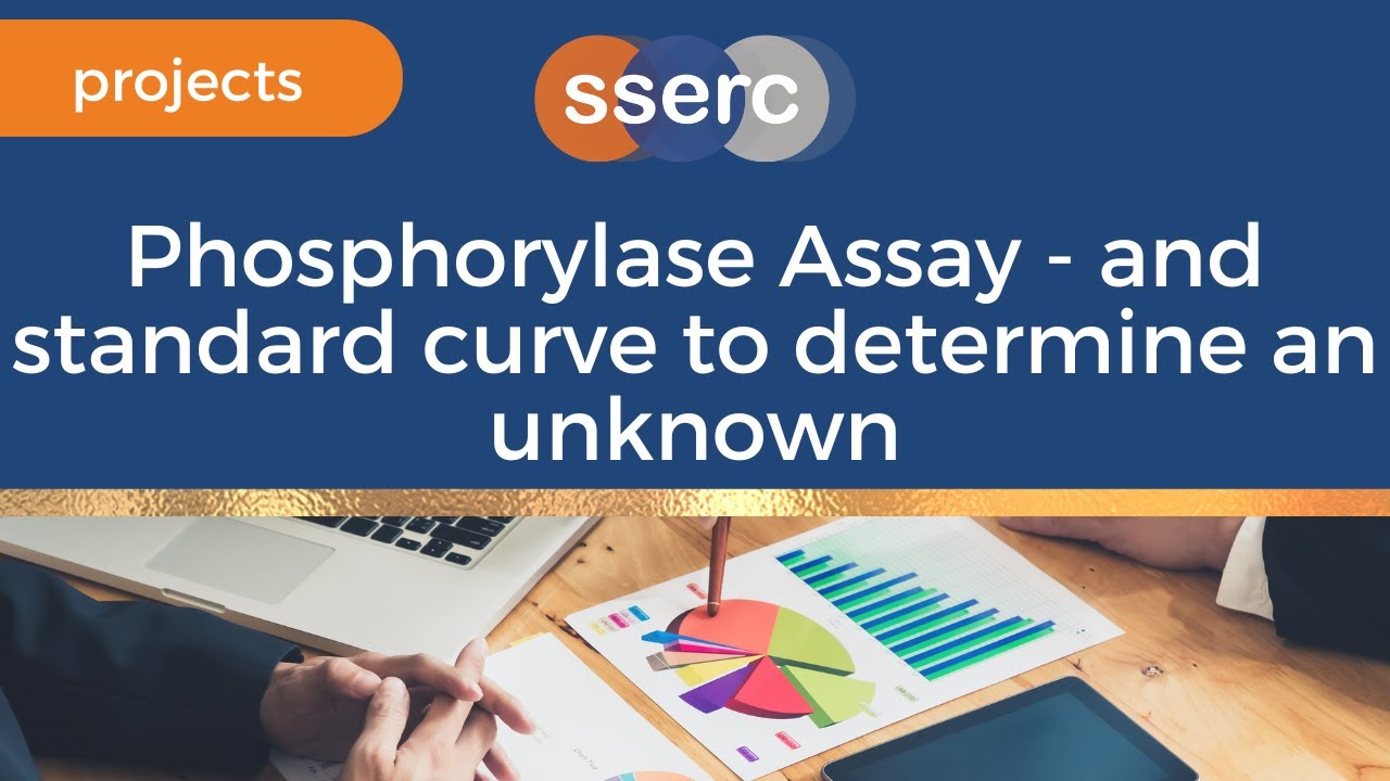 Phosphorylase Assay
