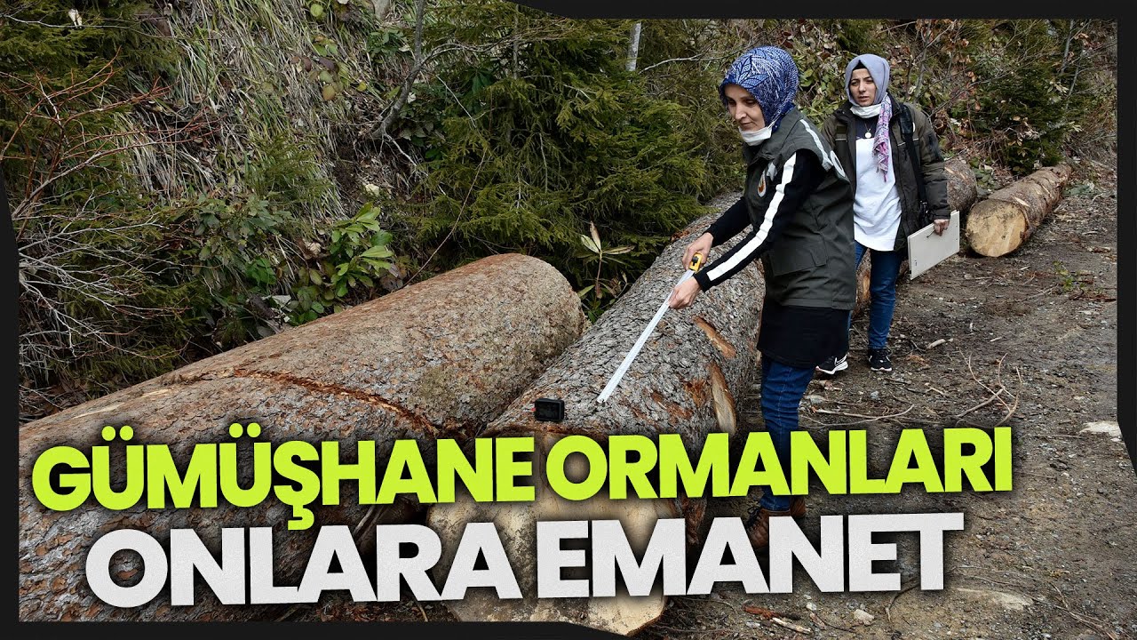 Gümüşhane’de Ormanlar, Kadın Orman Muhafaza Memurlarına Emanet