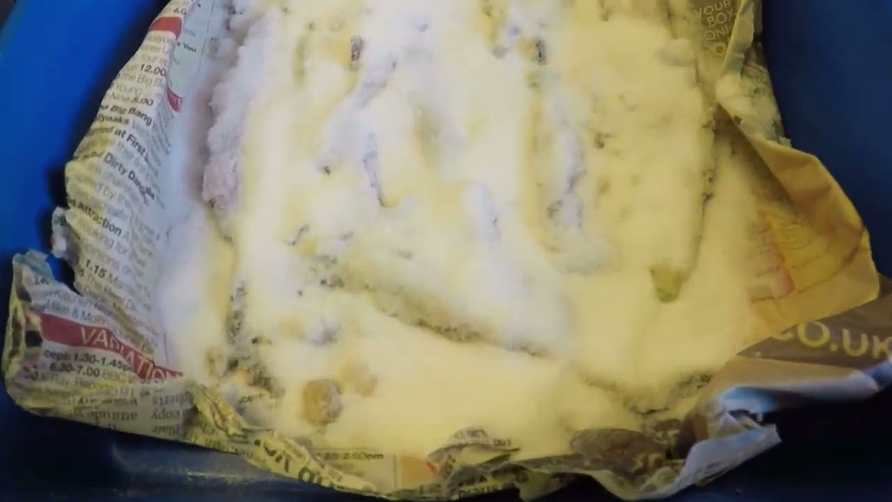 SALTING RAGWORM - PRESERVING LEFT OVER BAIT TO USE AGAIN - WOULD YOU?