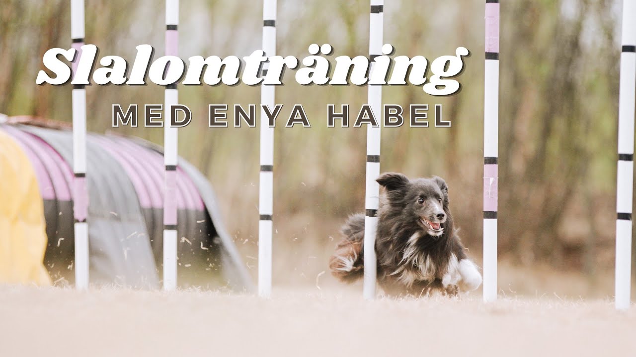 SLALOMTRÄNING - MED ENYA HABEL