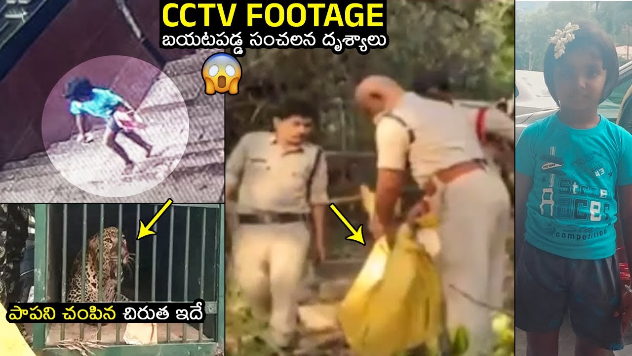 Tirumala Leopard Incident: Lakshitha's CCTV Footage SENSATIONAL Visuals | Cheetah Incident | WP