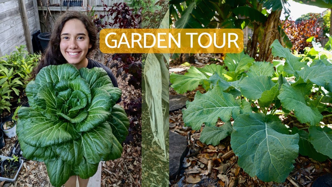 Winter Veggie Garden Tour || South Florida || Pt.1