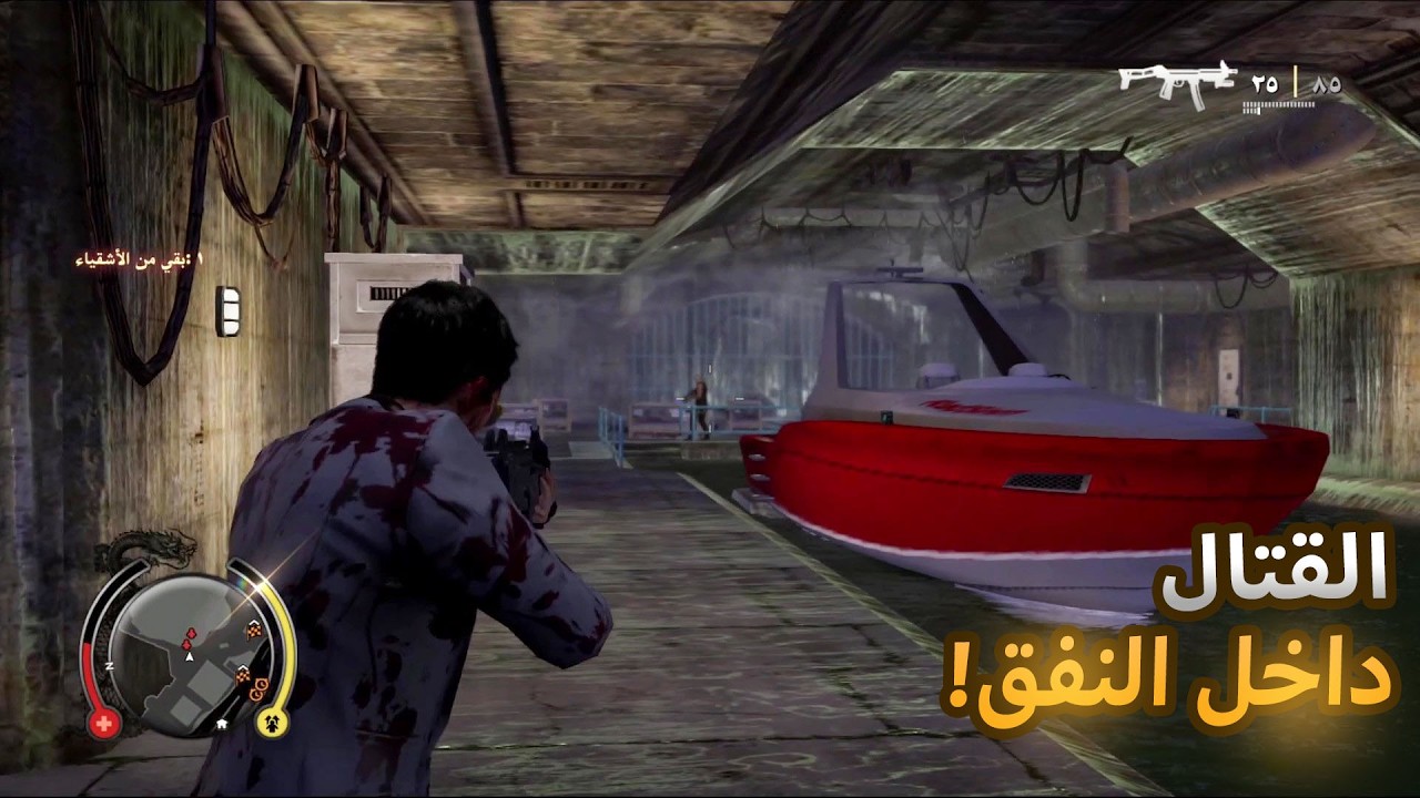 المراهنة على مصارعة الديوك  Sleeping dogs