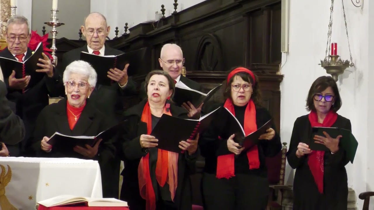 Concierto de Navidad