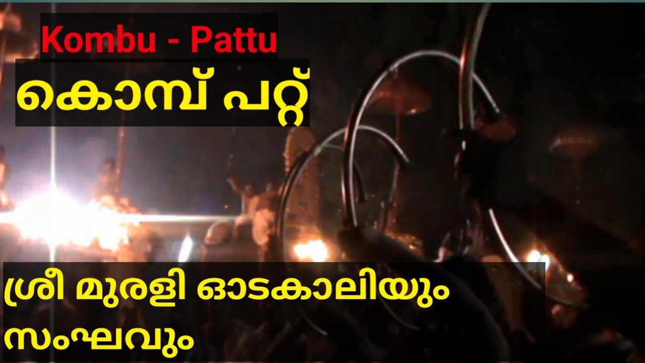 Kombu pattu by odakali murali and team കൊമ്പു പറ്റ്
