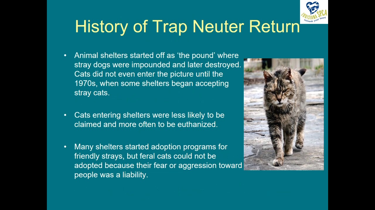 TNR Webinar