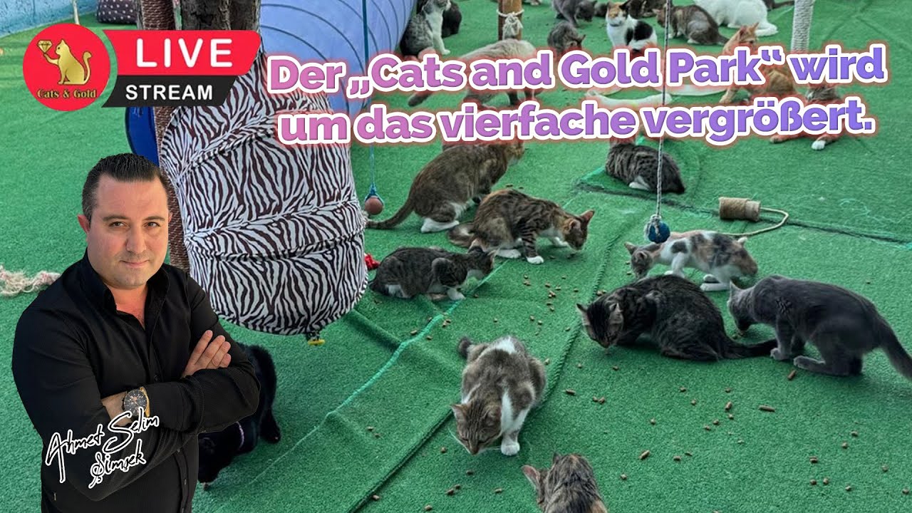 Der &bdquo;Cats and Gold Park&ldquo; wird um das vierfache vergr&ouml;&szlig;ert.