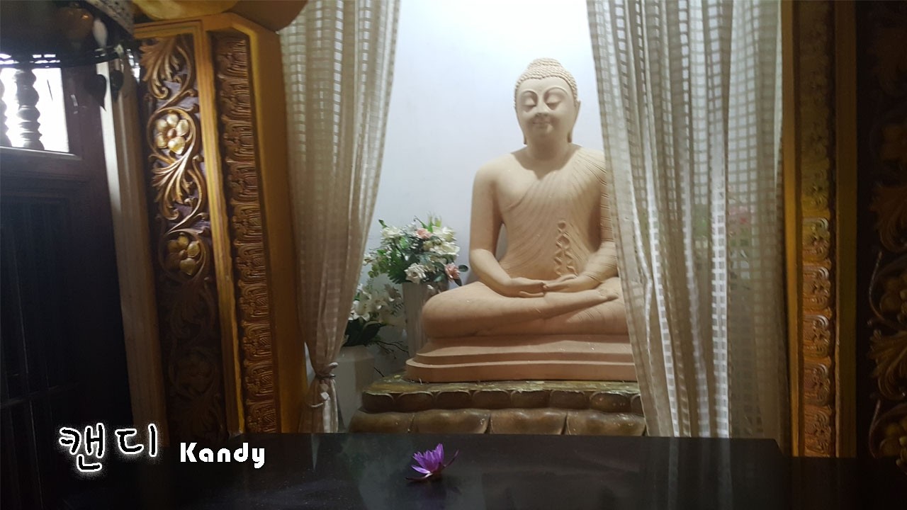 스리랑카 여행 3 왕립 식물원, 캔디 불치사, 캔디 댄스 Kandy