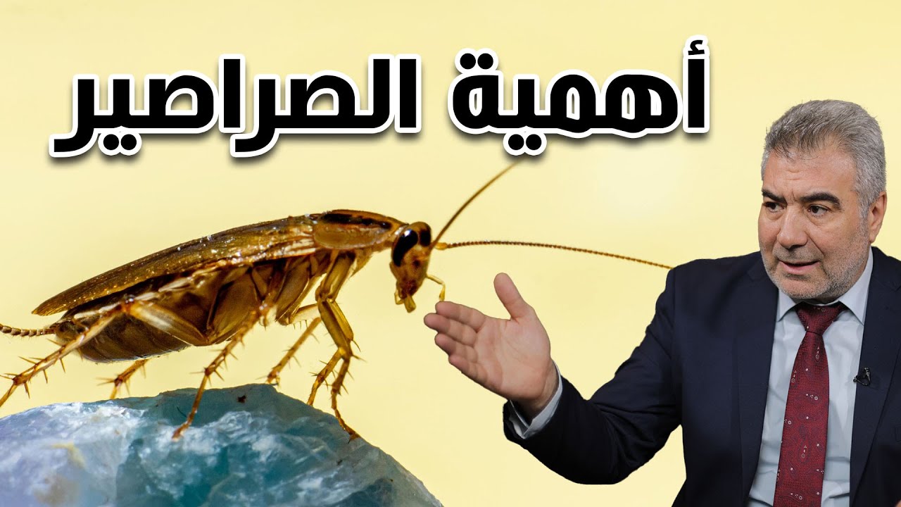 ماذا يحدث إذا اختفت الصراصير..؟ حقائق تسمعها لأول مرة