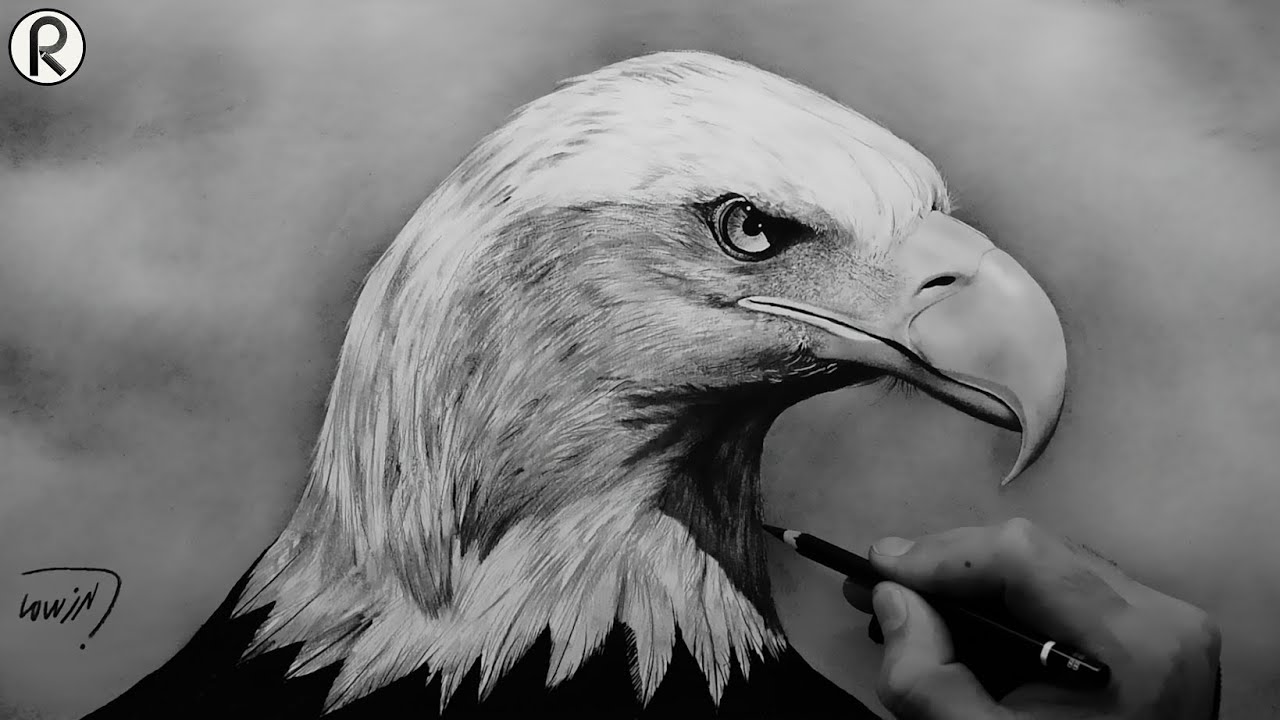 çizim teknikleri, drawing techniques, nasıl kartal çizilir? how to draw an eagle?