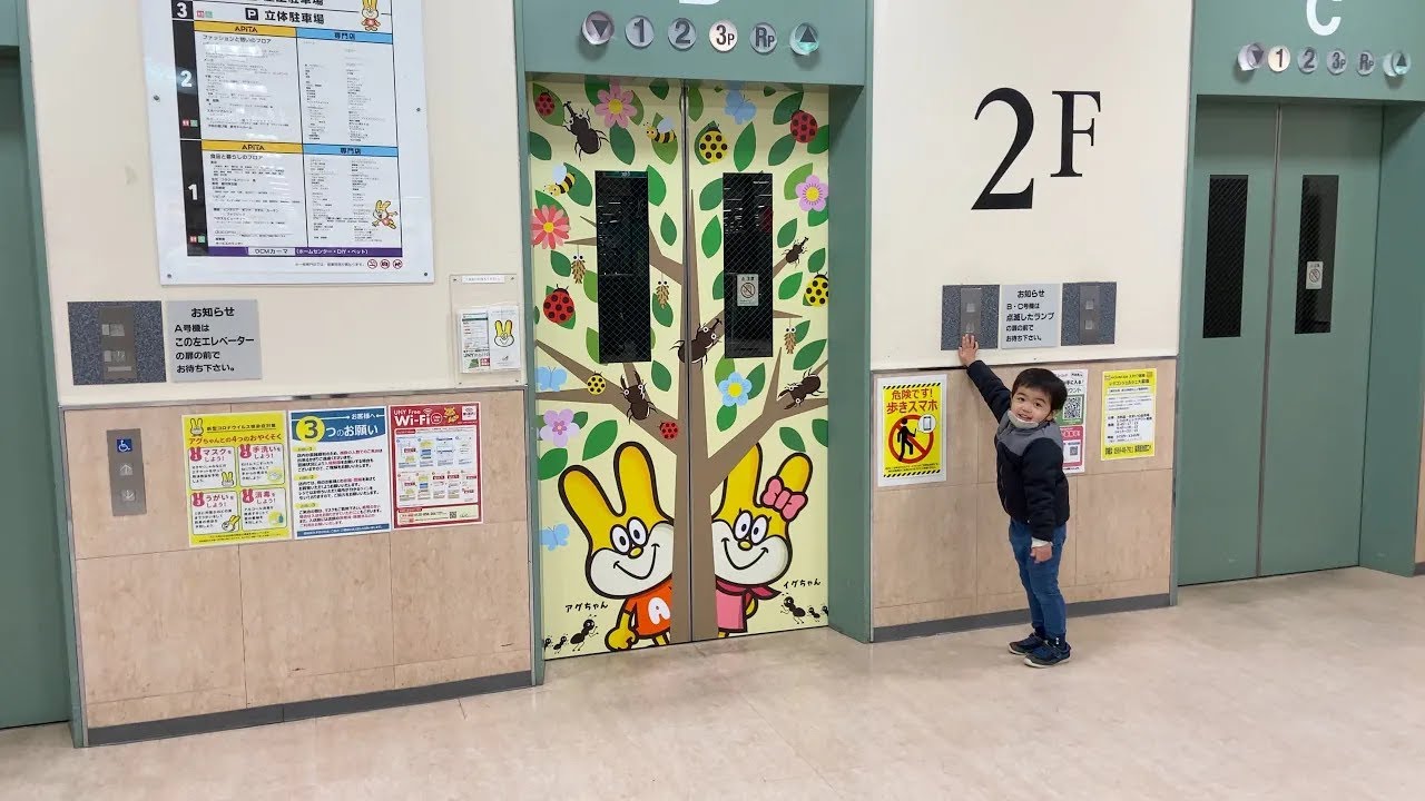 【Japanese Elevator】アピタ阿久比店・西側・三菱エレベーター
