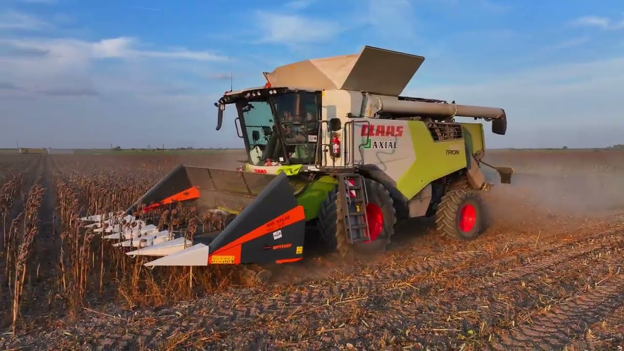 Napraforgó adapter száraprító hengerrel! CLAAS Trion 660 + NAS-676 HZ
