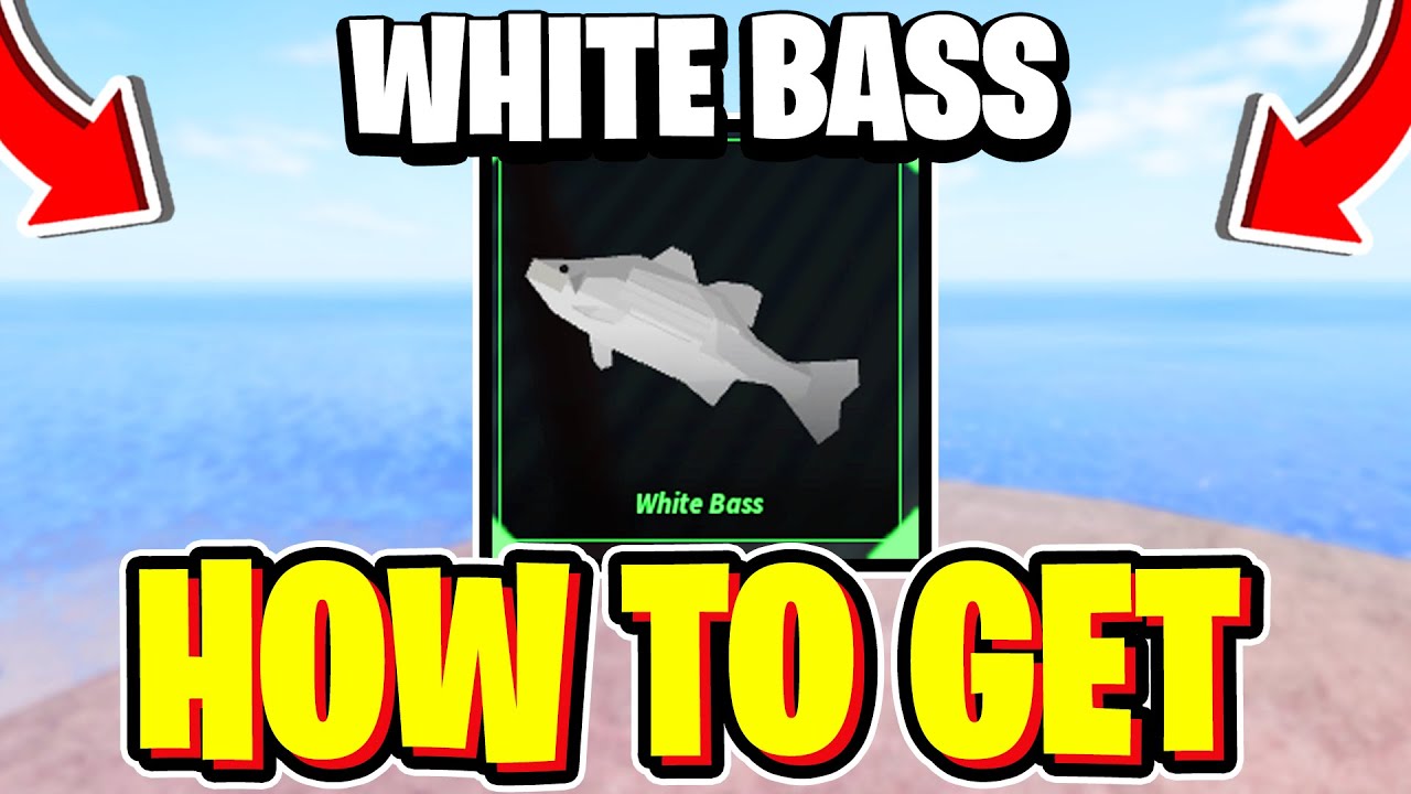 How To CATCH WHITE BASS In Fisch! Roblox (White Bass Location)