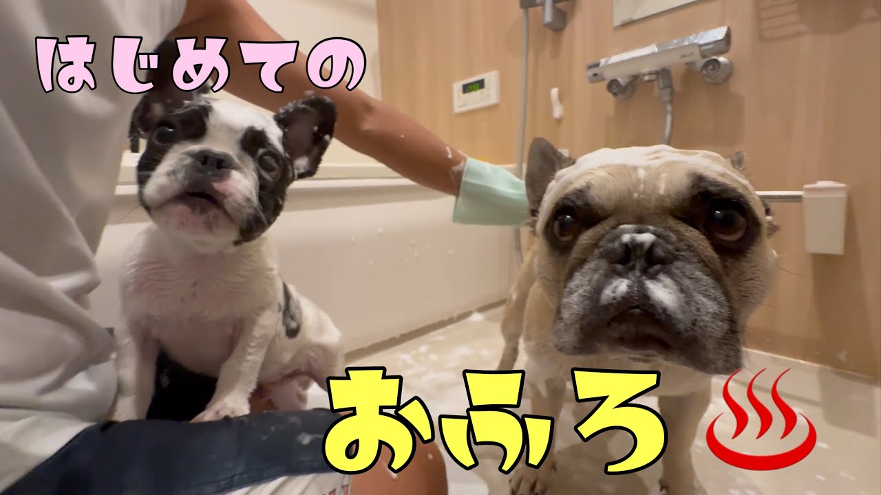 産まれて初めてのお風呂！兄ちゃんと一緒に入ったよ♨