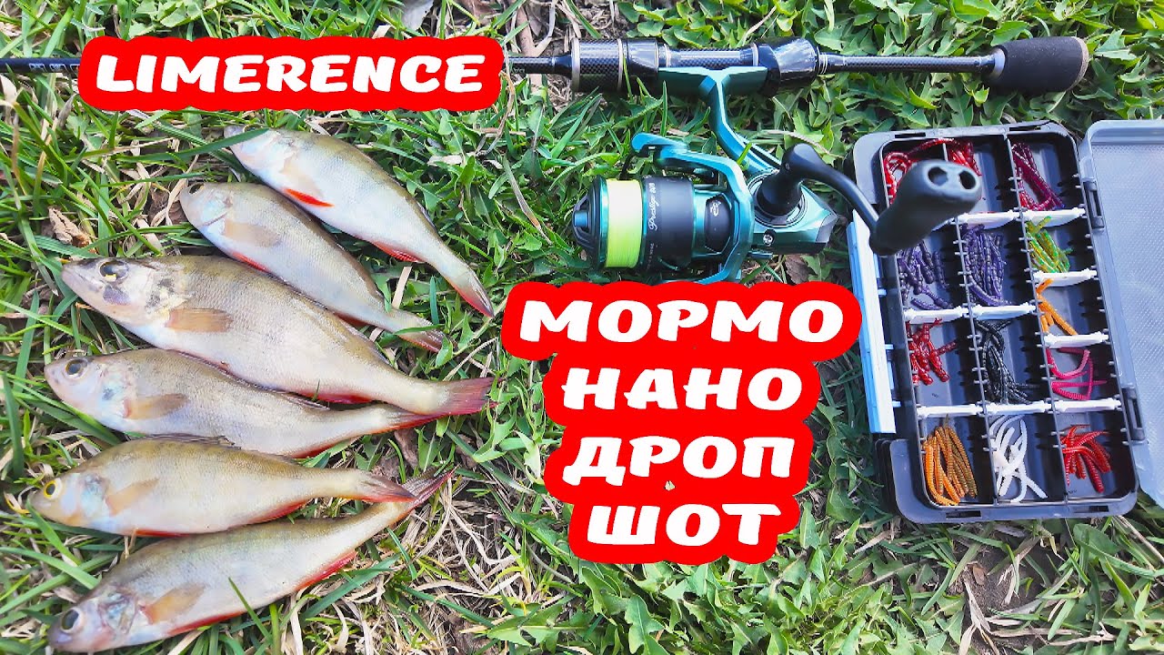 DAYO LIMERENCE ОБЗОР И СРАВНЕНИЕ НА ПОТРЯХ С ПОПУЛЯРНЫМИ БЮДЖЕТ - ПАЛКАМИ. МОРМЫШИНГ. НАНО ДРОП ШОТ.