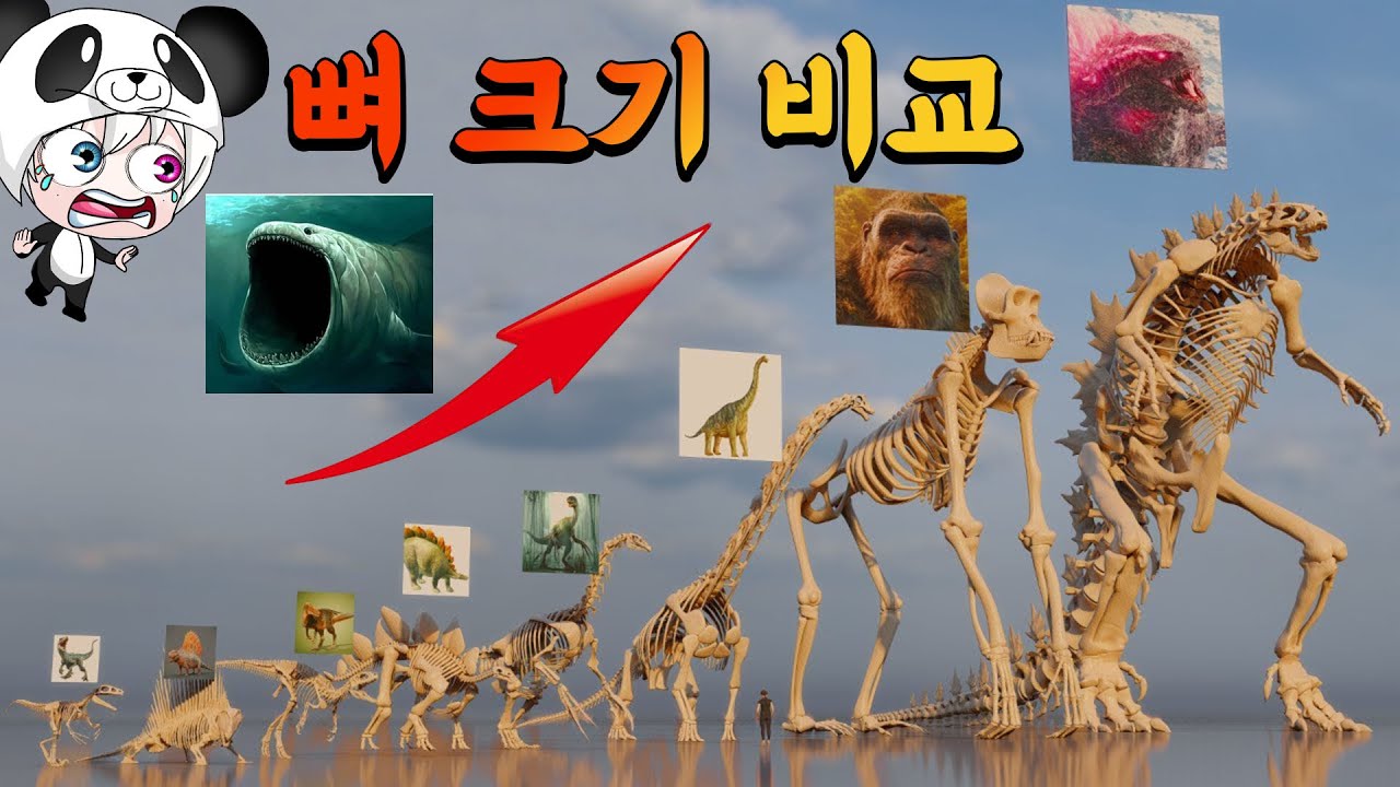 블룹과 엘그랜 마하 뼈 크기 비교!! 뼈 크기가 100m가 넘는다고?? 몬스터 동물 뼈크기 비교 size comparison 대박 뼈 비교 애니메이션 상황극 [꿈토이 꿀잼 리액션]