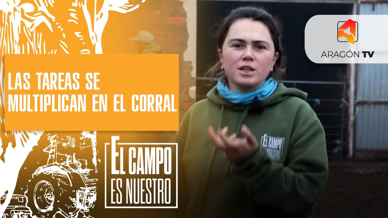 Las tareas se multiplican en el corral