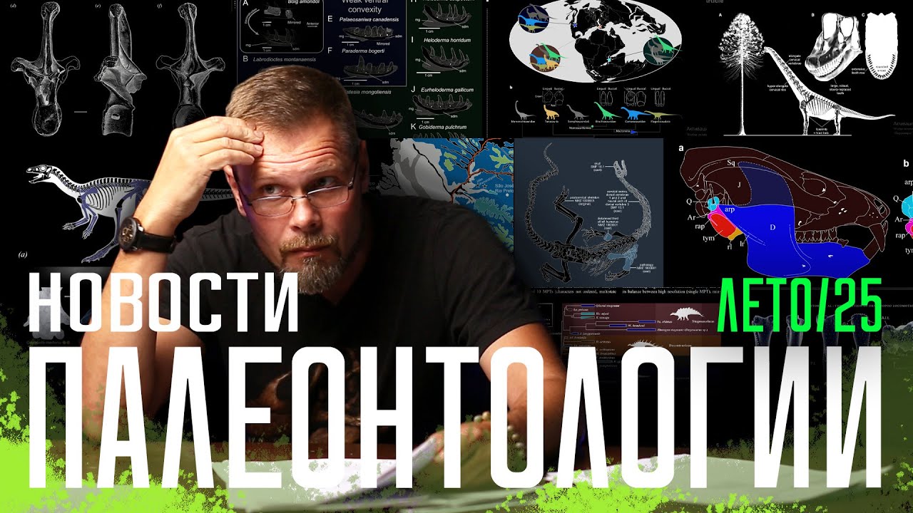 Сосуды тираннозавра | Бесшумный ихтиозавр | И еще 21 палеонтологическая публикация лета!