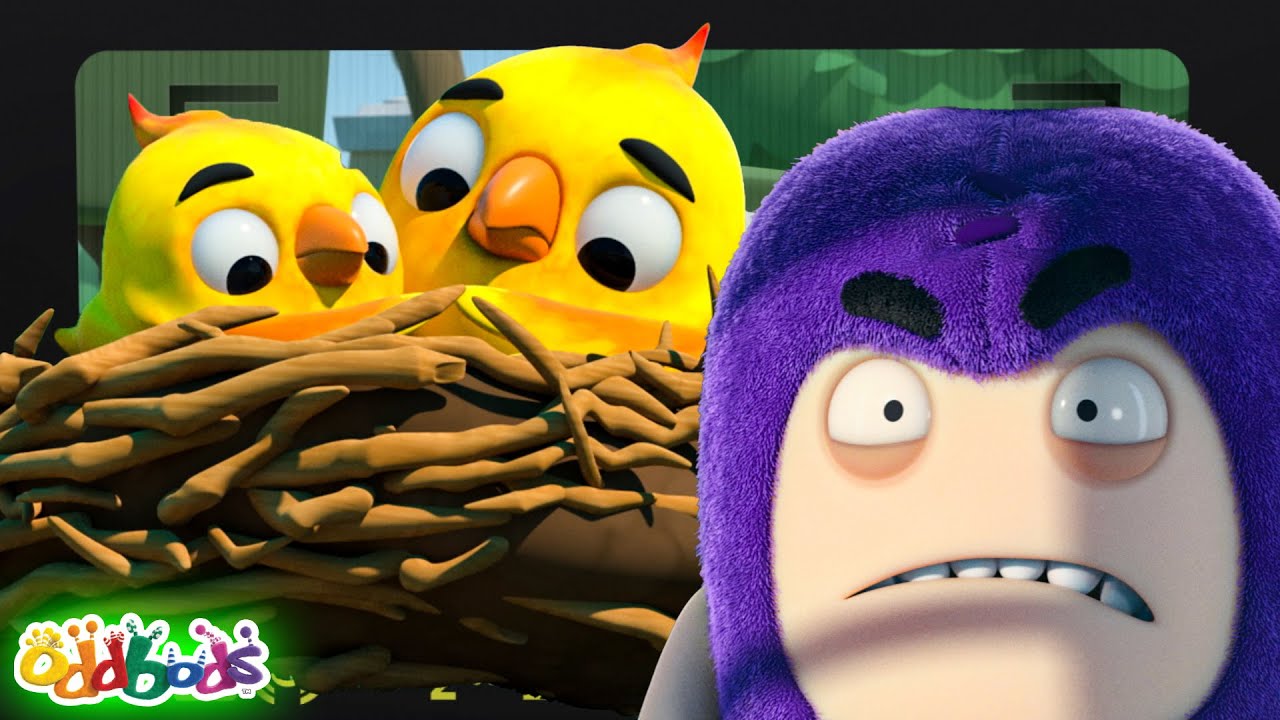Are You Smarter Than A Bird? | ODDBODS | Creative Kids Club | Moonbug Kids Art