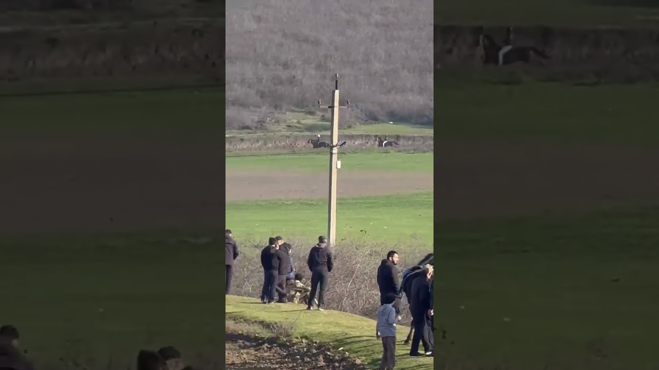Скачки в аркабаш дистанция 4200