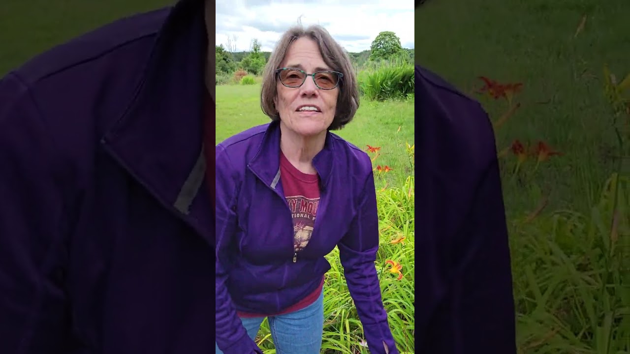 Tour of Nona's Flower Garden 2024