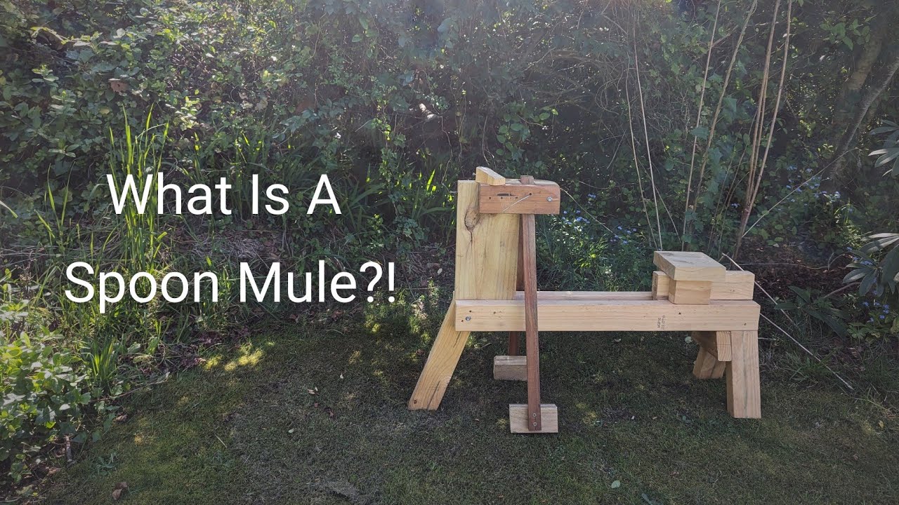 The Spoon Mule | Andy Spoons