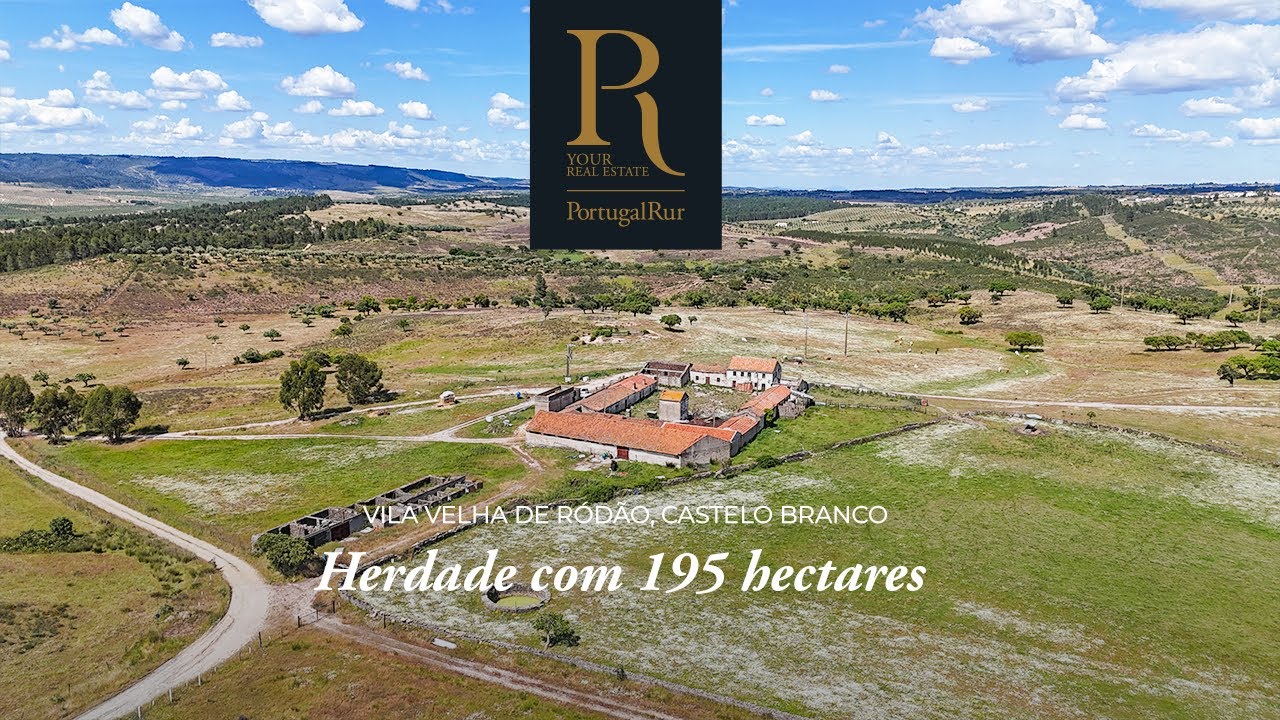 Herdade com 195 ha para venda junto ao Rio Tejo | REF. FG281