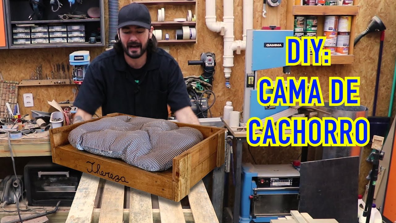 Faça você mesmo: CAMINHA DE CACHORRO
