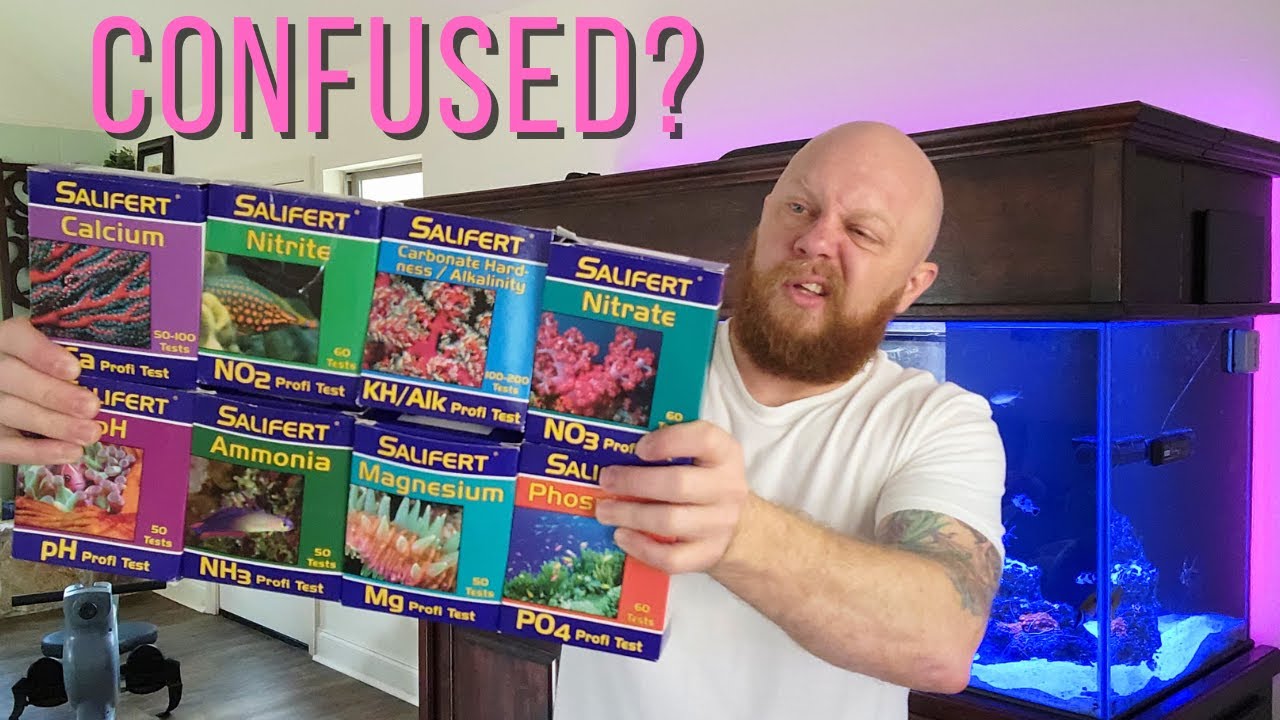 Reef Tank test kits: What do you REALLY need?