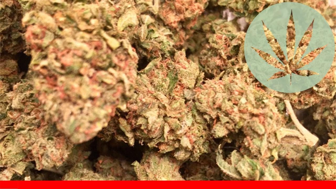 Face Off Og - All About This Strain