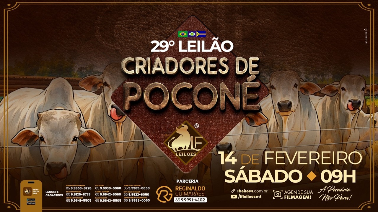 29º  Leilão Digital CRIADORES DE POCONÉ  14 02 2026 09:00 horas.