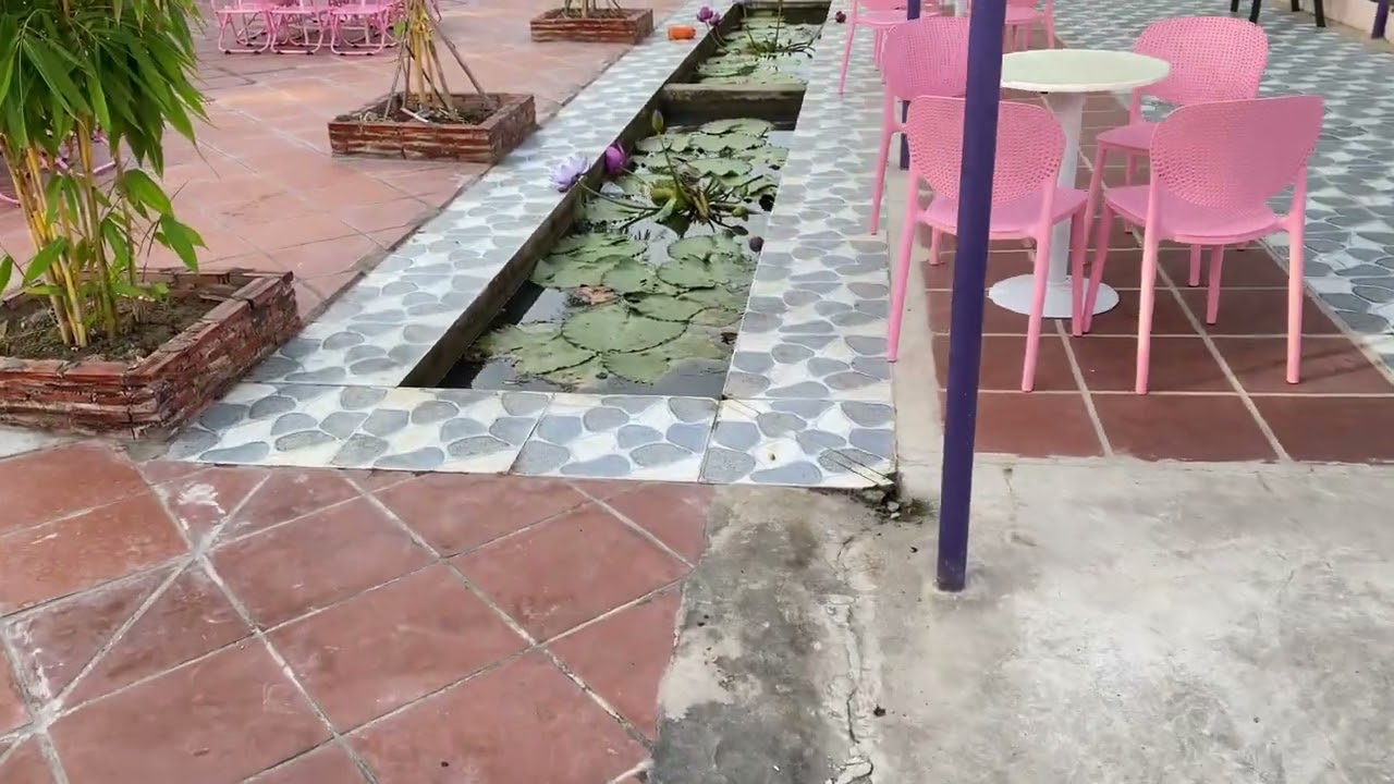 quán cfe rất nỗi
