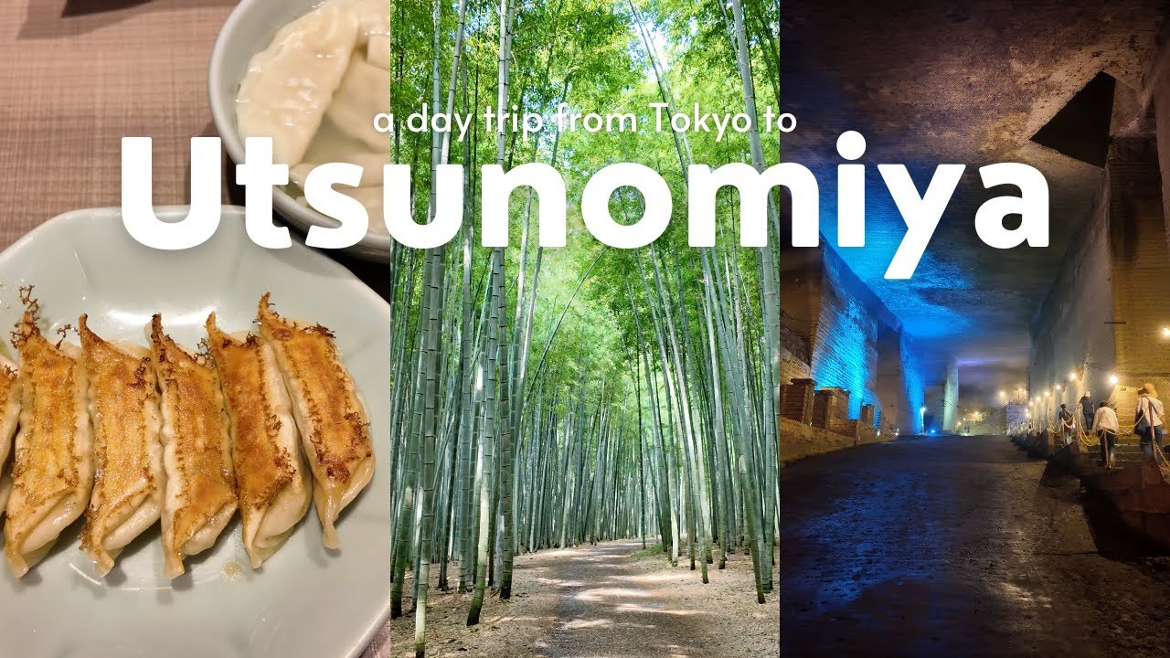 Tokyo Day Trip to Utsunomiya 🚃🥟 Gyoza, Bamboo Forest & Underground Museum 🇯🇵 Travel VLOG 📸