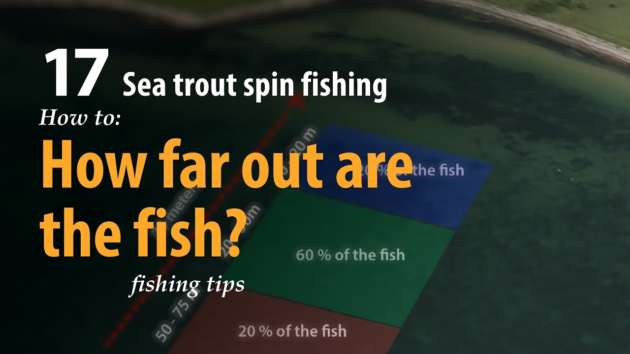 How to • Sea trout - Fly fishing • How far out are the fish? • fishing tips